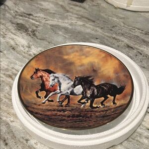 Wild Horse Decorative Plate